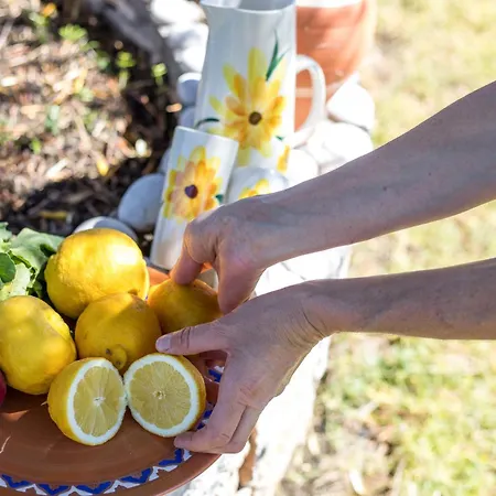 Villa Traditional Greek Island Summer At Julia Kolymbia